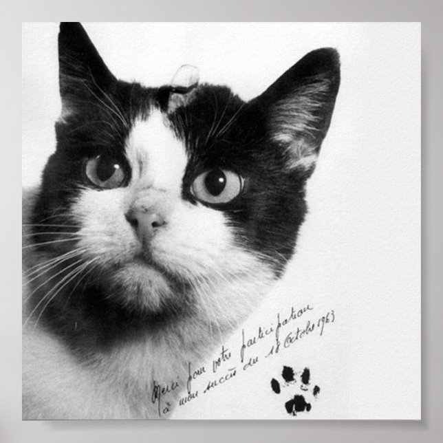 Félicette: The First Cat in Space Poster (Front)