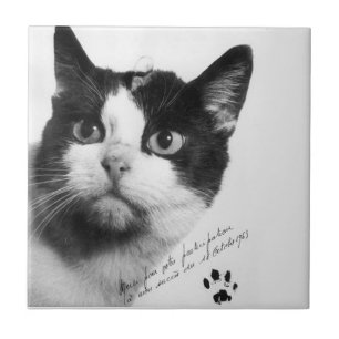 Félicette: The First Cat in Space Tile