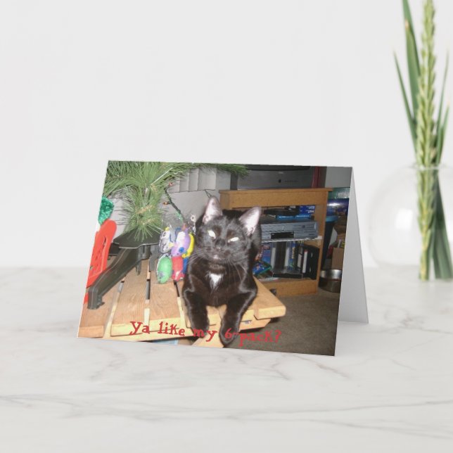 Feline 6-Pack Holiday Card (Front)