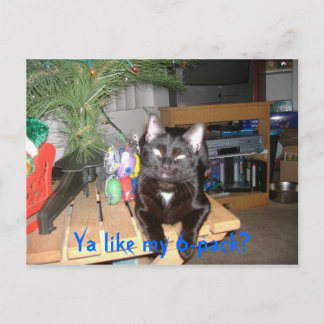 Feline 6-pack postcard
