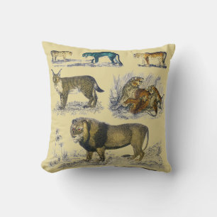 Feline Animals Cushion