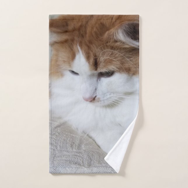 (Feline Fancy) Kitty Contemplation: Cat Photo Bath Towel Set (Hand Towel)