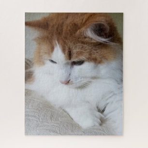 (Feline Fancy) Kitty Contemplation: Cat Photo Jigsaw Puzzle