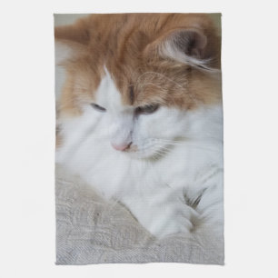 (Feline Fancy) Kitty Contemplation: Cat Photo Tea Towel