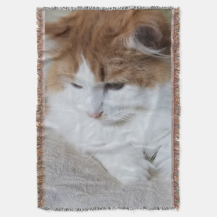 (Feline Fancy) Kitty Contemplation: Cat Photo Throw Blanket
