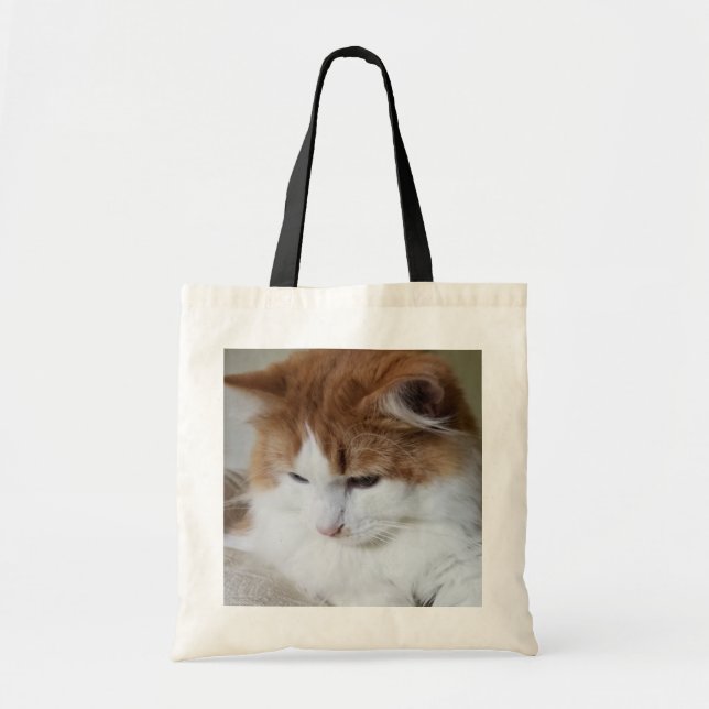 (Feline Fancy) Kitty Contemplation: Cat Photo Tote Bag (Front)