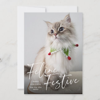 Feline Festive Cat Photo Holiday  Card