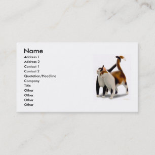 Feline Friends Profile Card