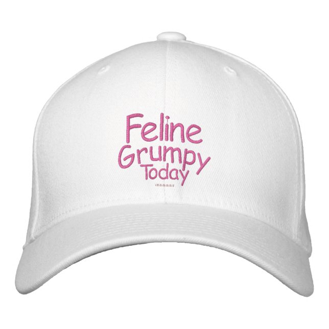 Feline Grumpy Today Embroidered Hat (Front)