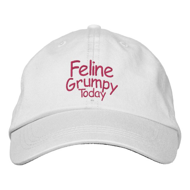 Feline Grumpy Today Embroidered Hat (Front)