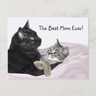 Feline Mother's Day Postcard