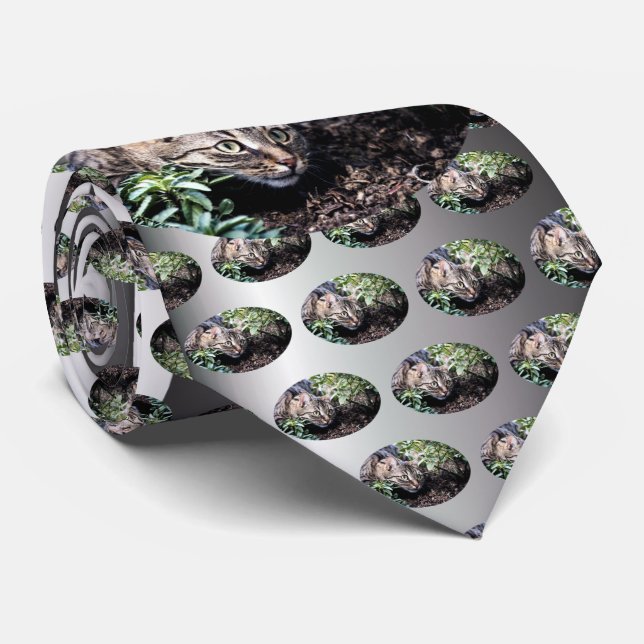 Feline Pet Cat on the Prowl Tie (Rolled)