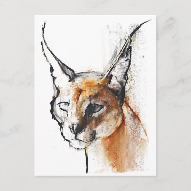 Feline Postcard (Front)