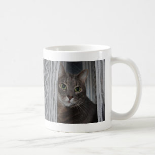 Feline Pretty Kitty Cutest Cat Ever Photo Mug