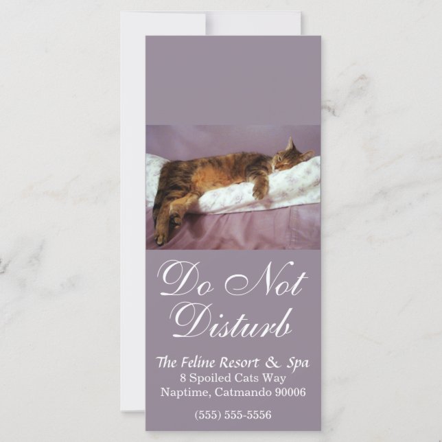 Feline Resort Do Not Disturb (Front)