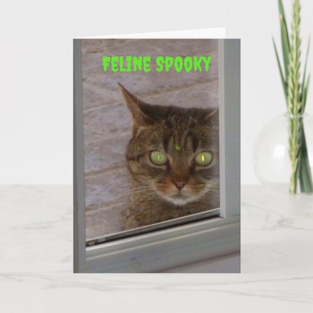Feline Spooky Cat Halloween Card (Front)