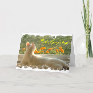 Feline Sympathy Card