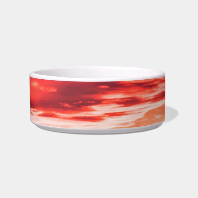 feline wave bowl (Front)