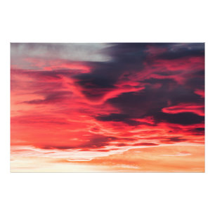 feline wave photo print