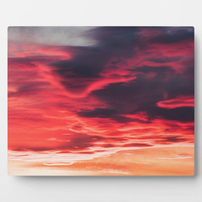 feline wave plaque (Front)