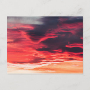 feline wave postcard