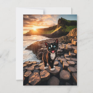 Felini’s Irish Adventure – The Giant’s Causeway Postcard