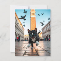 Felini vs. Pigeons: A Venetian Chase