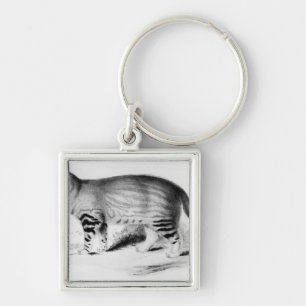 Felis Pajeros, plate 9 Key Ring