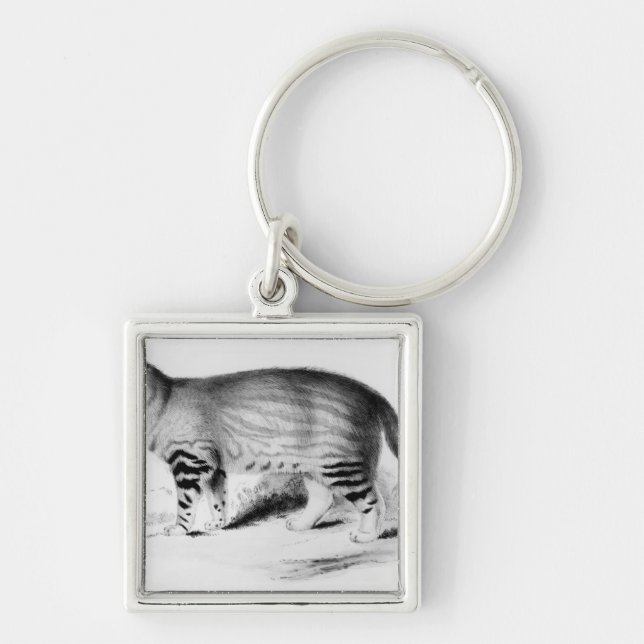 Felis Pajeros, plate 9 Key Ring (Front)