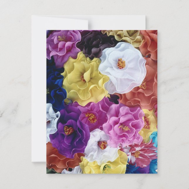 ¡Feliz Cinco de Mayo! (Front)