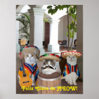 Feliz Cinco de MEOW!