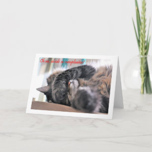 Feliz Cumpleaños Spanish Birthday with kitty cat Card