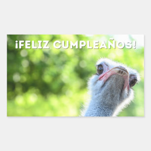 Feliz cumpleaños, Spanish happy birthday Rectangular Sticker