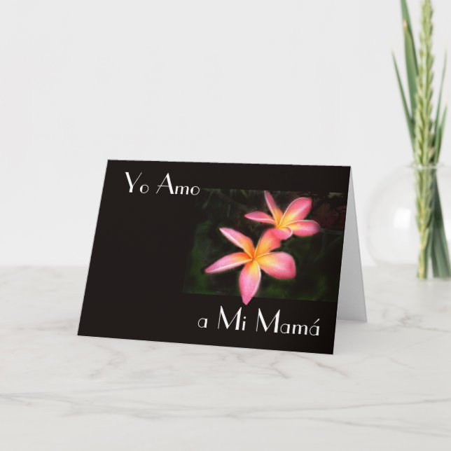 Feliz Dia de la Madre 13 Card (Front)