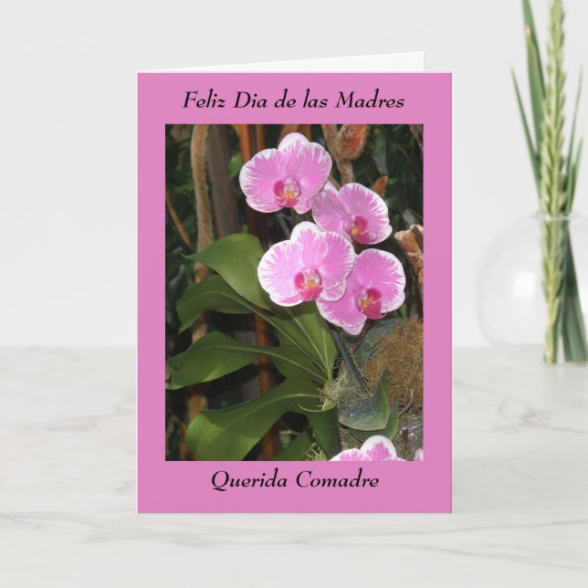Feliz Dia de las madres Comadre Card (Front)