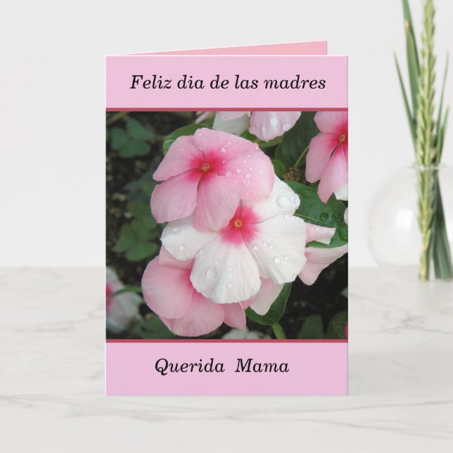 Feliz dia de las madres mama card (Front)