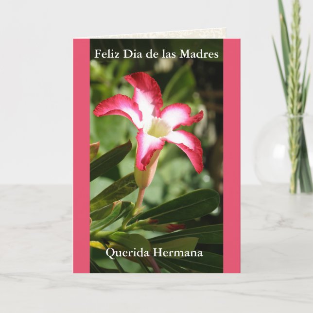 Feliz Dia de las Madres Querida Hermana Card (Front)
