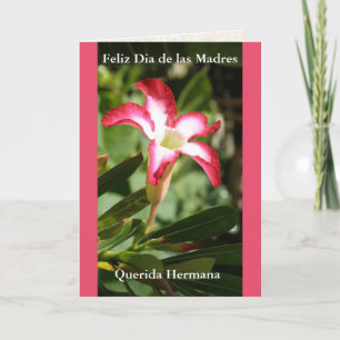 Feliz Dia de las Madres Querida Hermana Card