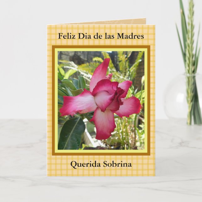 Feliz Dia de las Madres Sobrina  421 Card (Front)