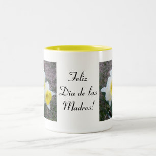 Feliz Dia de las Madres taza / cup / mug