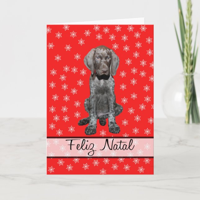 Feliz Natal german shorthaired pointer Chistmas Holiday Card (Front)