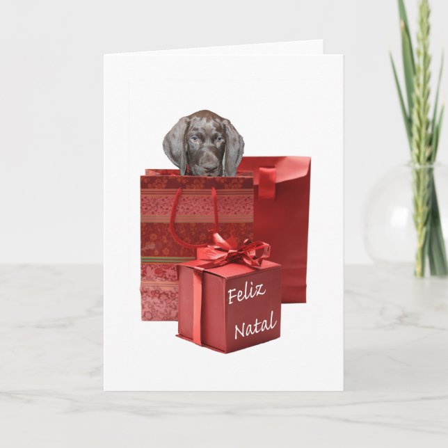 Feliz Natal german shorthaired pointer Chistmas Holiday Card (Front)