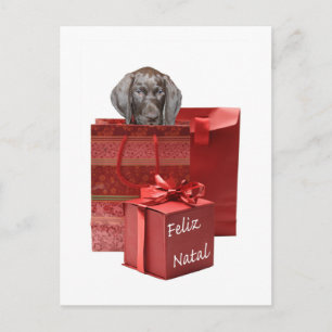 Feliz Natal german shorthaired pointer Chistmas Postcard