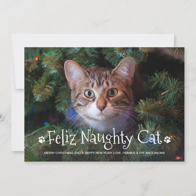 Feliz Naughty Cat Funny Personalised Pet Photo Holiday Card (Front)