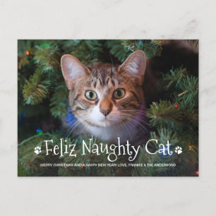Feliz Naughty Cat Funny Personalised Pet Photo Holiday Postcard