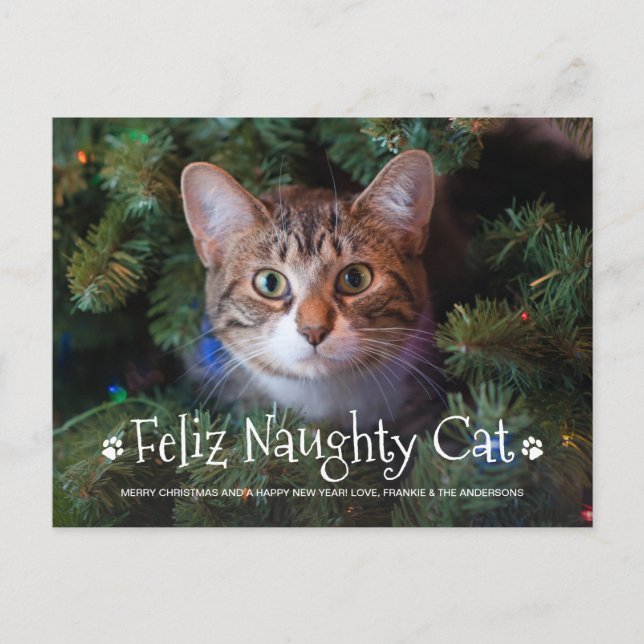 Feliz Naughty Cat Funny Personalised Pet Photo Holiday Postcard (Front)