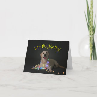 Feliz Naughty Dog Christmas Card
