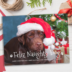 Feliz Naughty Dog Funny Personalised Pet Photo Hol Postcard