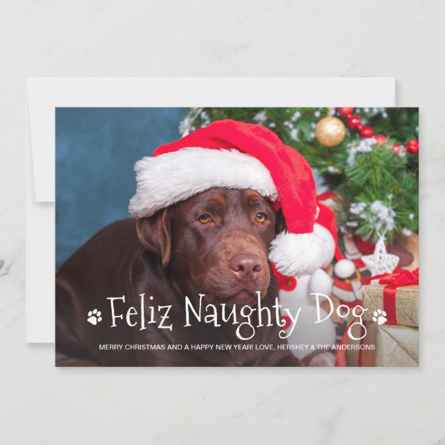 Feliz Naughty Dog Funny Personalised Pet Photo Holiday Card (Front)