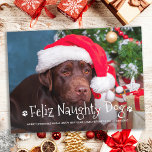 Feliz Naughty Dog Funny Personalised Pet Photo Holiday Postcard<br><div class="desc">Feliz Naughty Dog! Send cute and fun holiday greetings with this super cute personalised custom pet photo holiday card. Merry Christmas wishes from the dog with cute paw prints in a fun modern photo design. Add your dog's photo or family photo with the dog, and personalise with family name, message...</div>